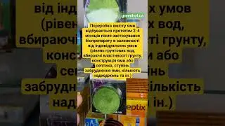Таблетка для вигрібних ям Вейст Тріт 85 г 