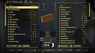 Fallout 4 Perma-Death Survival