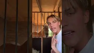 zoals jullie zien ben ik een echt paardenmeisje.