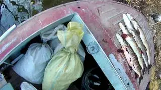 РЫБАЛКА для ДУШИ