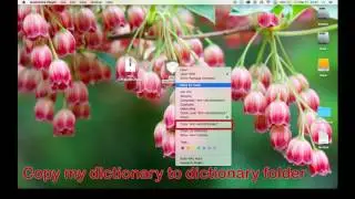 How to add language to mac dictionary Macboook - Mac OS X