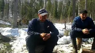суровое чайпитие в лесу