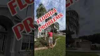Just out here living the dream in Florida. #FloridaProblems #PalmTrees