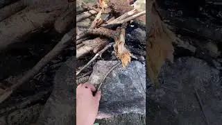 Забыли уголь а дрова не горят))) 