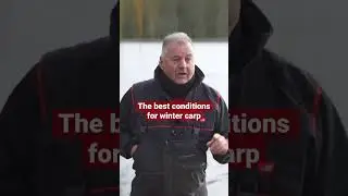 This is the weather you need for winter carp fishing! 👀 