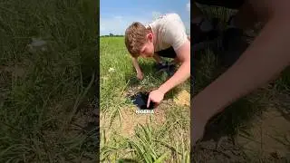 They don't celebrate finding oil in the ground here 🤯 