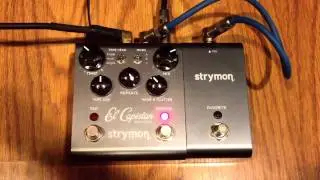 Strymon El Capistan Tape Delay