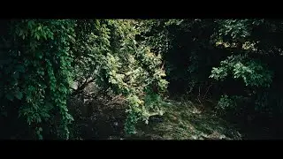Green summer (grading with Filmbox)