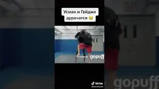 Усман и Гейджи на тренировке 