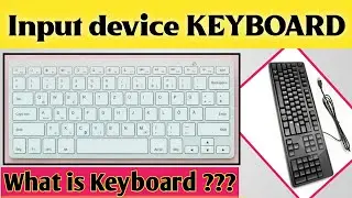 What is Keyboard ? | Keyboard | Input Device - Keyboard