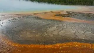 Day 11 - Yellowstone springs, some wildlife & Sage Restaurant