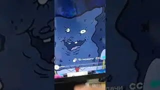 губка боб