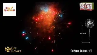 ОС8810 ГЕЙША