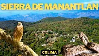 Sierra de Manantlán: The Lungs of Western Mexico