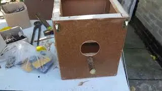 Гнездо для попугая  СВОИМИ РУКАМИ