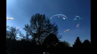 Creatures in the night sky