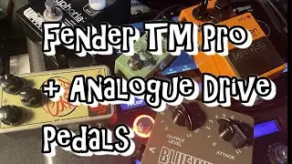 Fender Tonemaster Pro with a selection of Analogue drive pedals in the loop.#fendertonemasterpro
