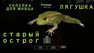 Рр4 | Лягушка и уклейка для живца | Старый острог