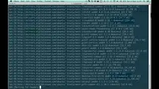 GitMinutes Screencast: GitBlit on DigitalOcean