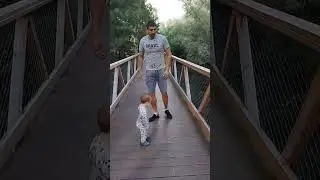 Прогулка среди вершин деревьев: Тим исследует природу над Шкляркой!