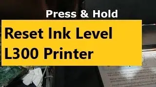 Epson L300 Blinking, Reset Ink Level