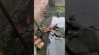 Ливень в Шахтах затопил домовладение