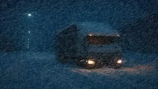 Snowstorm Ambiance, Howling Wind & Falling Snow Sounds | Stress Relief & Restful Sleep