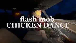 flash mob CHICKEN DANCE
