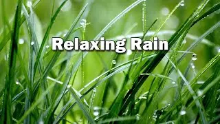 Water Rain Sounds  Natural Rain from Start Relaxing Sound Meditation Deep Sleep Relaxing Rain
