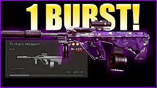 the 1 BURST AUG CLASS in WARZONE! 