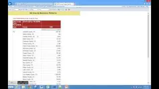 US County Business Patterns - SSRS