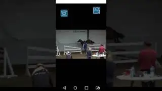 Neverland S/ Dallas VDL Jarużyn 2021