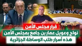 قرار مجلس الامن | نواح وعويل بن جامع بمجلس الامن | هذه اسرار طلب الوساطة الجزائرية