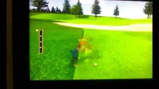Nintendo Wii Sports Golf Bug