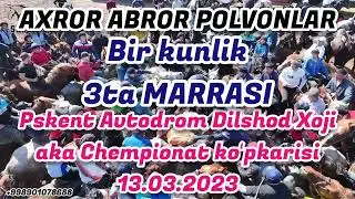 AXROR ABROR POLVONLAR BIR KUNLIK 3ta MARRASI. PSKENT AVTODROM 13.03.2023