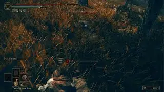 Elden ring wild boys edition