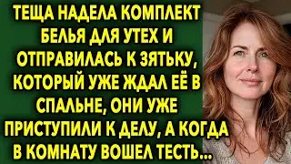 Теща Отправилась К Зятьку, Который Уже Ждал Ее В Комнате, А Когда К Ним Вошел Тесть…