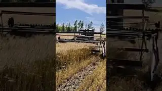 ЖУТКОЕ ЗРЕЛИЩЕ 🤯