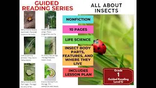 Grade 1 Guided Reading Level G - All About Insects with Lesson Plan