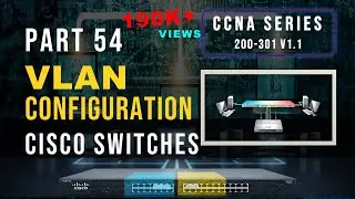 VLAN Configuration in Hindi | VLAN Configuration step by step | CCNA 200-301 in Hindi Video 32