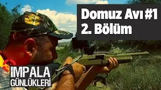 Domuzu Avı 1 impala Günlükleri 2. Bölüm Yaban Tv - wild boar hunting