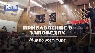 Добавь свет ✨