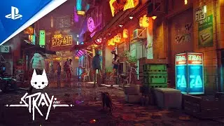 Мяу l Stray