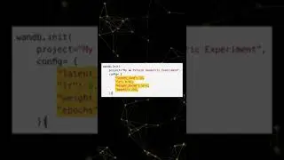 Track Your PyTorch Geometric Machine Learning Experiments with Weights & Biases