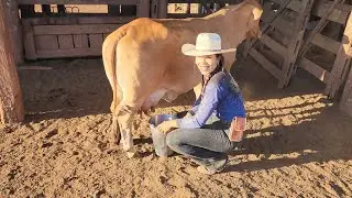 ROTINA NA FAZENDA! Tiramos o leite e depois foi puxado na apartação do gado.