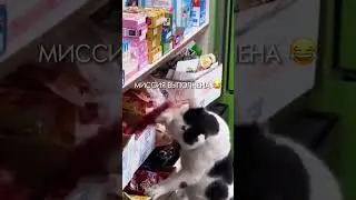 УМНЕЕ ЧЕЛОВЕКА