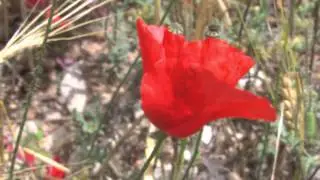 La Sierra de Albarracín: la Sierra de las Maravillas