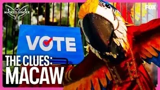 The Clues: Macaw | Season 9 Ep. 13 | The Masked Singer