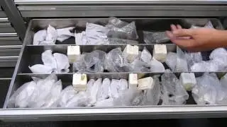 Where the Magic Happens: Inside the Callaway Tour Truck