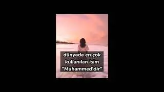 Bazı karışık Bilgiler🥰✨🤔